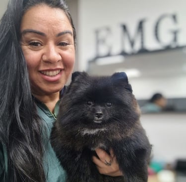 Best Dog Groomer Amsterdam | Professional Dog Groomer | Experienced Pet Groomer