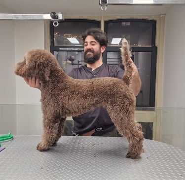 emg-dog-grooming-studio-amserdam-east