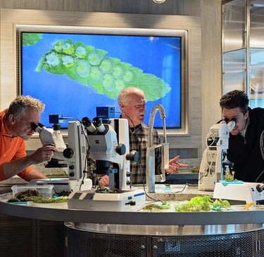 Scientists using high-powered microscopes to study plant specimens in a modern biology laboratory.