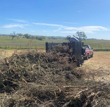 Brush removal
