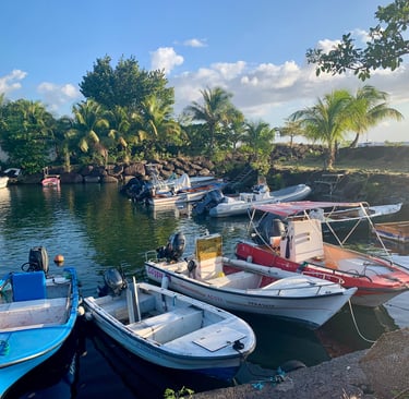 A group of boats docked at a dock in Bouillante in Guadeloupe