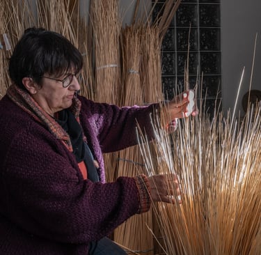 triage de l'osier par taille avant le tressage d'un panier
