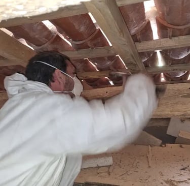 Traitement de la charpente contre les thermites