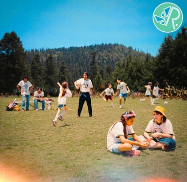 Portada y calificación del disco el campamento de fútbol y actuación del rey pelé.