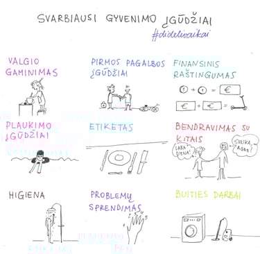 svarbiausių įgūdžių schema