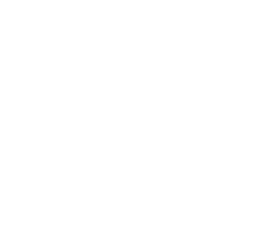 Logo ergon