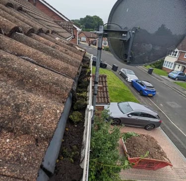 before gutter clean