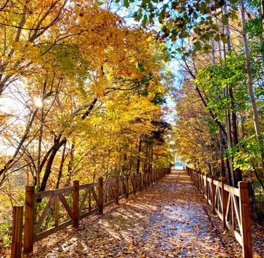 Thermal Belt Rail Trail