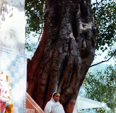 Ingresso al kutir di Babaji, Hairakhan