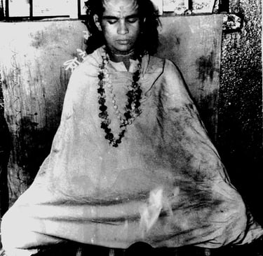 Shri Babaji in meditazione