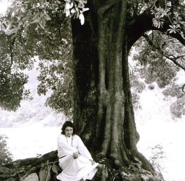 Shri Babaji