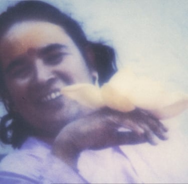 Shri Babaji Mahavatar