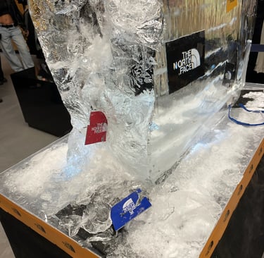 escultura de hielo rompe el hielo por sancho sculpture con vouchers adentro 
