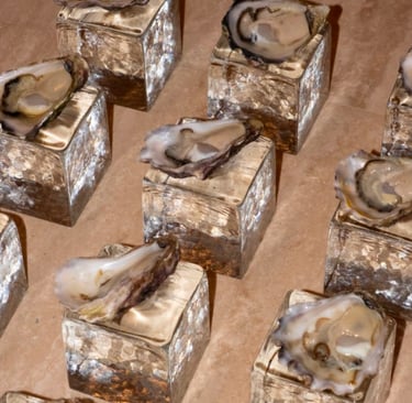 bandeja de ostras de hielo premium para evento gastronomico en buenos aires