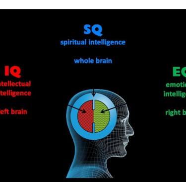 brain