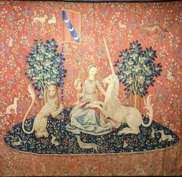 Tapisseries de La Dame à la Licorne : Vue