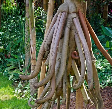 arboles que se mueven solos
