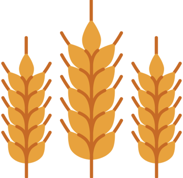 Céréaliculture