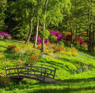 A small wooden garden bridge in a lush landscape with blooming azaleas and green trees.