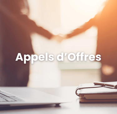 appels d'offres opportunité entreprise réponse easyadmin