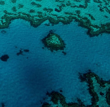 Aerial view of a vibrant coral reef in clear turquoise tropical ocean water.