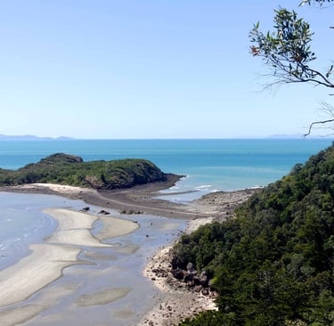 Panoramic view of a tropical coastline with sandy beaches, rocky headlands, and lush green forest.