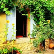A picture of a window with sunflowers.