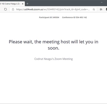 Zoom waiting message.