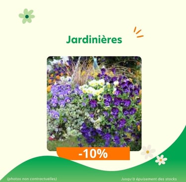 Promotions : jardinières en réduction à -10%