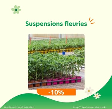 Promotions : suspensions fleuries en réduction à -10%