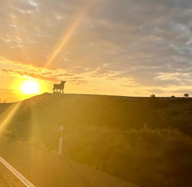 Silueta del toro de Osborne al atardecer sobre una colina junto a la carretera en España, con el sol