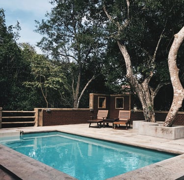 a pool with a tree in the background