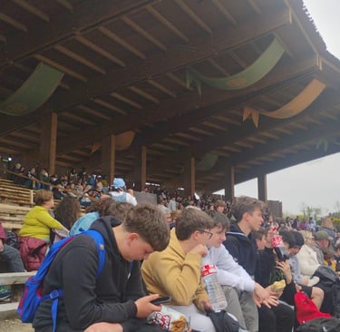parque tematico puy du fou. actividades almagro