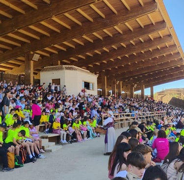 visita al parque puy du fou. actividades almagro