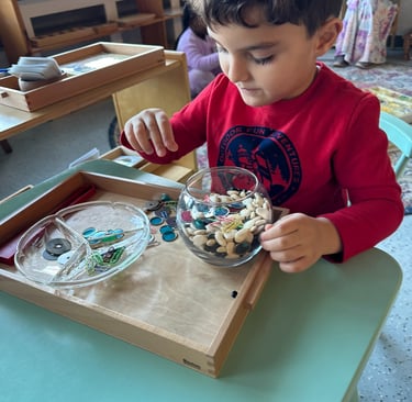 fine motor skills