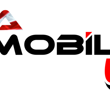 mobile tire franchise 