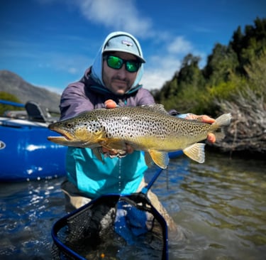 trucha marron del rio azul, Lago Puelo