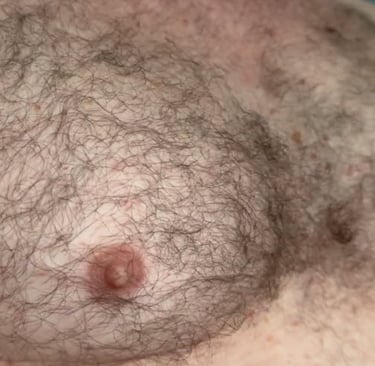 Close-up of a massively muscled chest covered with hair.