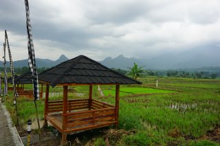 Gazebo Gratis di Kavling Sawah Golden View