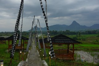 Kavling Sawah Produktif Golden View Bogor: Panen 3x, Free Gazebo