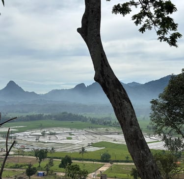 tanah kavling harga terjangkau bogor timur, kavling view gunung hanjawong, tanah kavling puncak dua bogor timur, nuansa alam