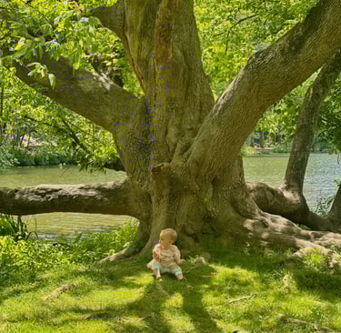 Wide shot of a baby girl sitting in the grass beneath a large, old tree, looking thoughtfully into the distance.
