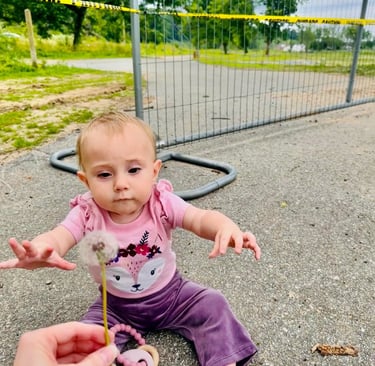 A baby girl sitting on the ground at Carrier Park after Hurricane Helene destruction and reaching out for a dandelion.