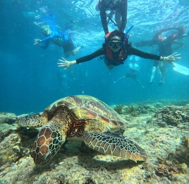 a person in a wetsuit is swimming in the ocean