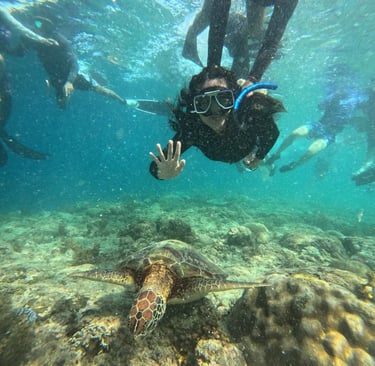 a person is swimming in the water with a turtle turtle