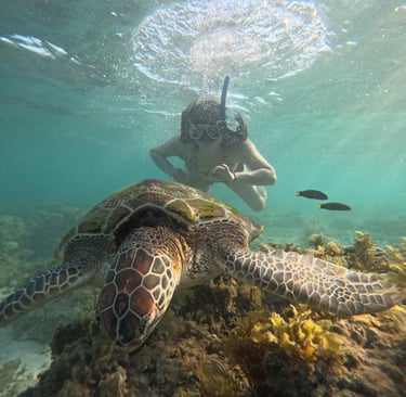 a man is swimming in the ocean with a turtle turtle