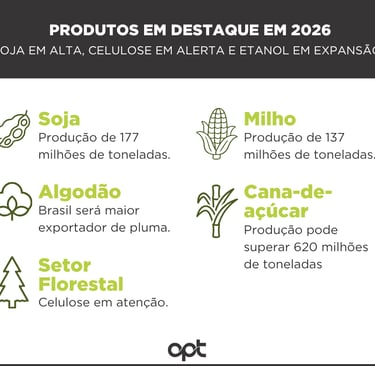 CCenário de produtos para 2026