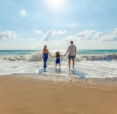 Wellness Chiropractic Columbia SC