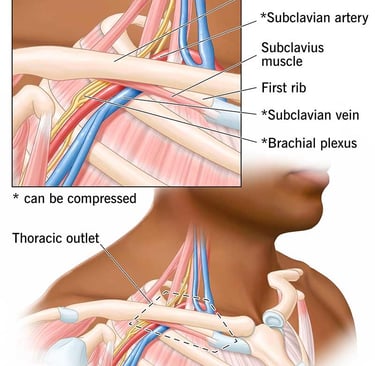 TOS chiropractor columbia sc