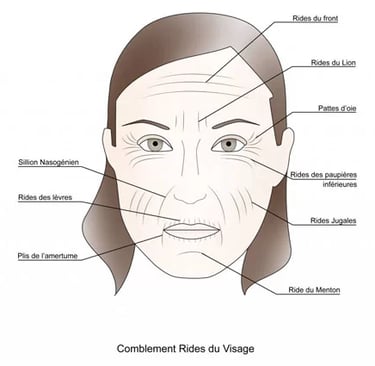 maquillage travesti zones visage